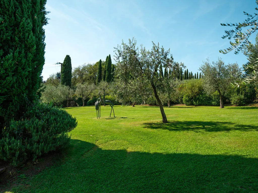 The lawn and olive trees in the grounds, with a heron sculpture